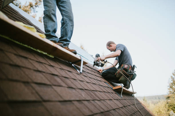 Roof Gutter Cleaning in Edgewood, IN